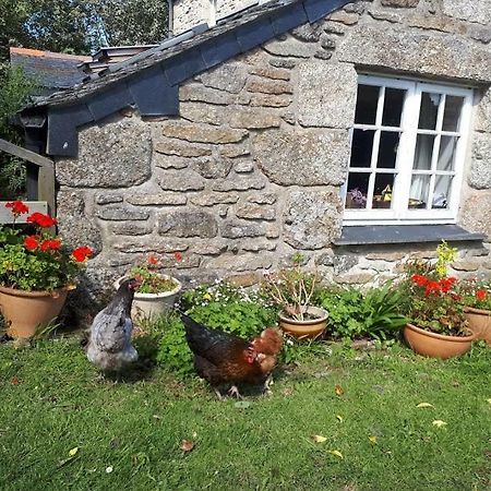 Borea Barn Vegetarian B&B St Ives Exterior foto